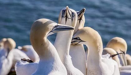 晚上偷偷看B站直播软件推荐——娱乐生活的新选择