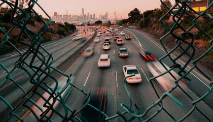 “花蝶飞舞，生命如诗”——探寻花蝶世界的无尽魅力