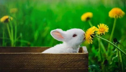 跨境美学:欧洲晨光与乌克兰纹理的生活探索