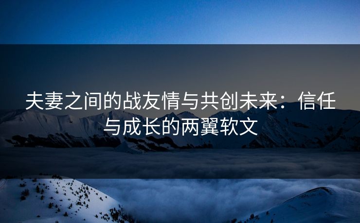 夫妻之间的战友情与共创未来：信任与成长的两翼软文