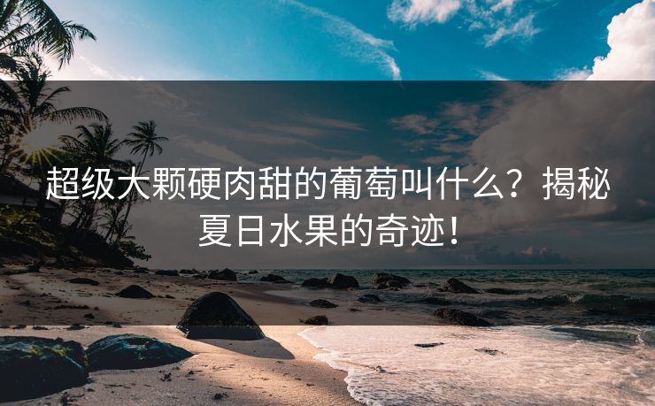 超级大颗硬肉甜的葡萄叫什么?揭秘夏日水果的奇迹!