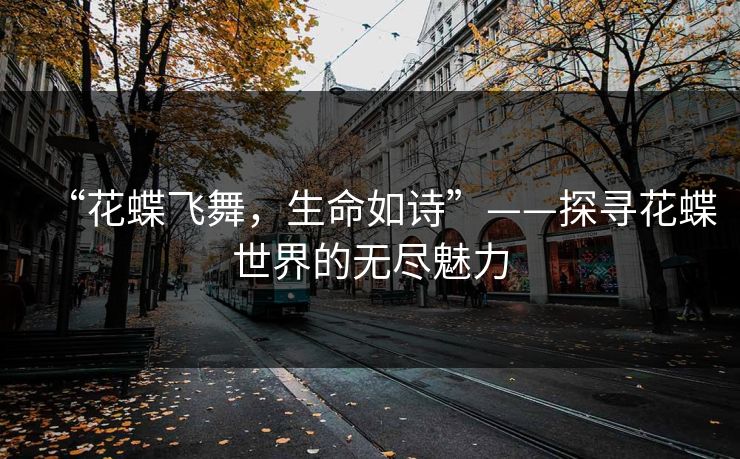“花蝶飞舞,生命如诗”——探寻花蝶世界的无尽魅力
