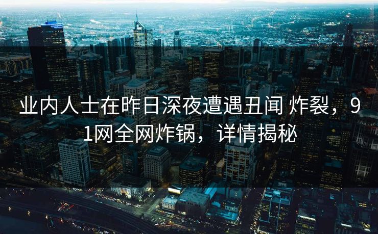 业内人士在昨日深夜遭遇丑闻 炸裂，91网全网炸锅，详情揭秘