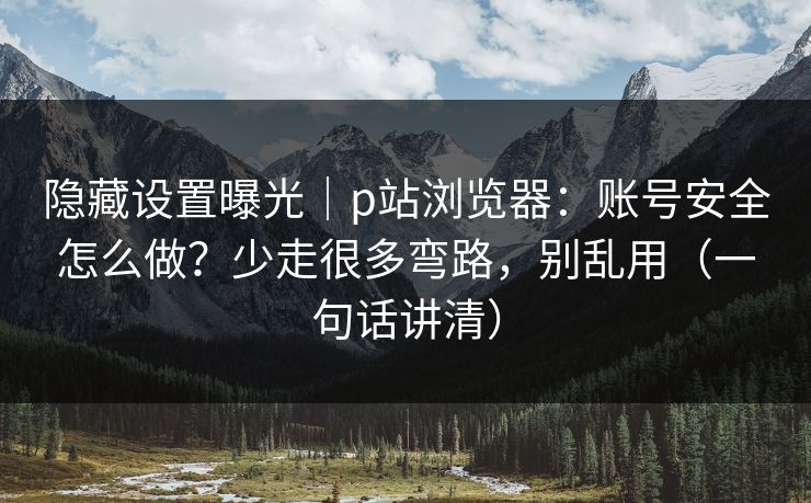 隐藏设置曝光｜p站浏览器：账号安全怎么做？少走很多弯路，别乱用（一句话讲清）